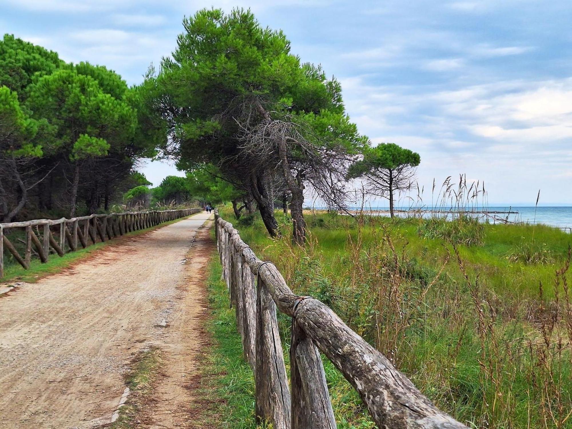 Apartment Comfy In A Quiet Area Bibione